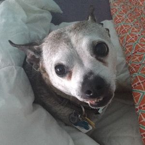 Meet your Posher, Grace